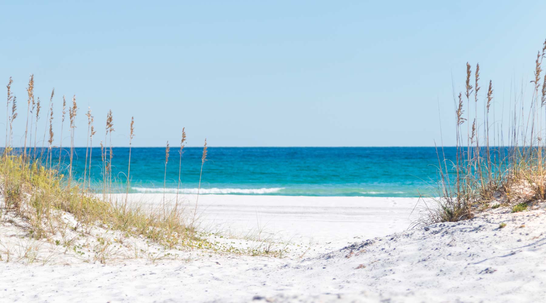 Premier Florida Home Builders FlynnBuilt premier-florida-home-builders-flynnbuilt